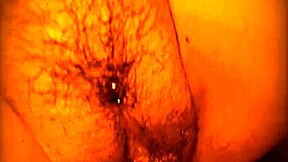 savoring cock thrusts pussy licks ass worship