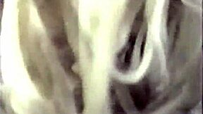 pamela anderson tommy lee boat romp hides steamy homemade secrets