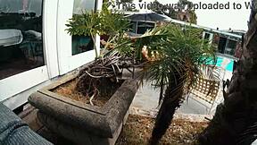 Spy catches gigi breeze choking on deepthroat by pool while naked sunbathing publicly