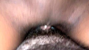 My naughty stepsister Kennedy Reign flashes her big tits and pussy next door!