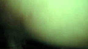 Pretty Shaved Pussy Licked and Creampied