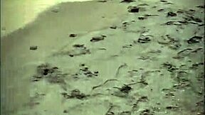 stranger's beach blowjob on my cock cum covered her cute latina face??