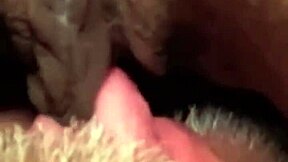 flowerandlouis morning muff dive comedy licks turn passionate pussy fun!