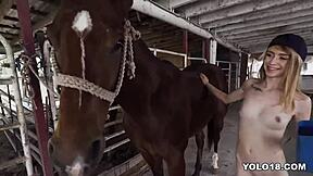 johnny and kristy may go hardcore at bangbros with petite teen skinny ass bent over doggystyle cowgirl and group riding