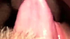 flowerandlouis morning muff dive comedy licks turn passionate pussy fun!