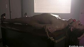 i tie up slim brunette lawyer for intense whipping pain