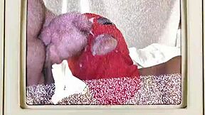 Doctor pounds brooklyn rossi's shaved pussy missionary blasts cum inside four times?