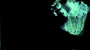 Vintage Amateurs Bare Hairy Beavers in Secret Retro Lives!