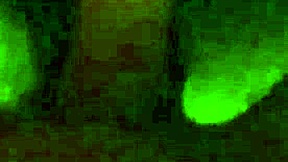 i let him pound my pussy until hot cum drips everywhere tbt