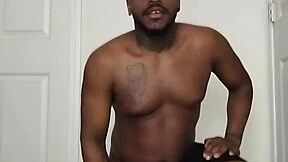 vampire scorpios venture into daylight despite their nocturnal habits sometimes