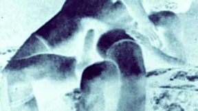 vintage erotic drawings capture raw antique passion and retro lust