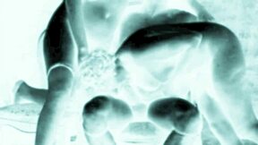 vintage erotic drawings capture raw antique passion and retro lust