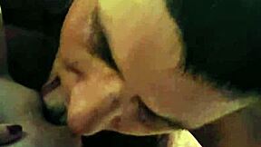 driftwood and barefoot kontessa sneak away south for wet shaven licks