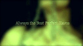 bbw slut whipped pussy hard then master pounds bound cunt in training session