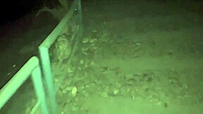 gf's big boobs bounce wild during hardcore jungle fuck on valentine's day