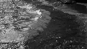 vintage erotic drawings hint at steamy hidden pleasures