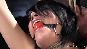 i love hogtying this slut before anal dildo fucking her hard