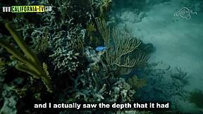 lisi parisi dances in bikini on california beach looking super sexy