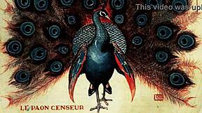 vintage erotic drawings hint at steamy hidden pleasures