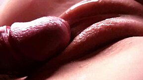 Cum Dripping Down Creampie Pussy Closeup