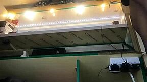 sexy milf long legs big pussy lips upskirt flashes in mini skirt