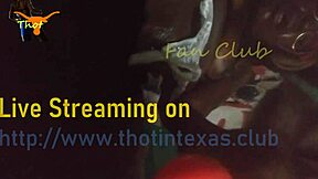 texas thot ebony milf pussy gets fucked fingered with toothbrush vibrator