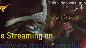 texas thot ebony milf pussy gets fucked fingered with toothbrush vibrator