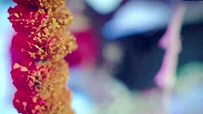 WILD SUHAAG RAAT! young indian pair's FIRST NIGHT explodes in DIRTY hindi screams and creampie bliss??