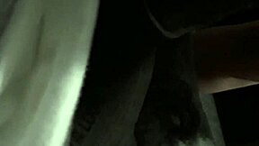 Blonde Milf Hooker Delivers Expert Cock Sucking Skills