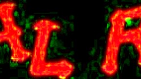 watch ariel rose slurp monster cock through gloryhole till facial cumshot