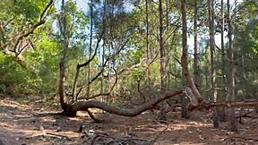 brazilian latinas with small tits give dupla mamada on thick cocks