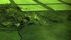 Ever tried electro bondage dominating a teen unless you crave extreme shocks?