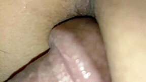 Dear Stepbrother, Slam Your Cock in Me While Parents Are Gone!