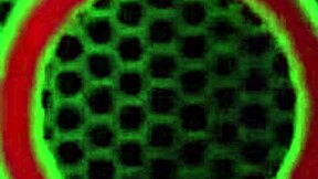 big boobed blonde vicky vette dildo fucks to wet orgasm