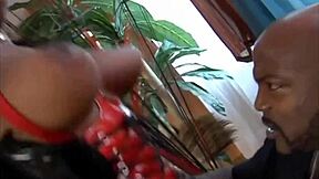 does vida valentine crave monster black cock pounding her lingerie pussy doggystyle