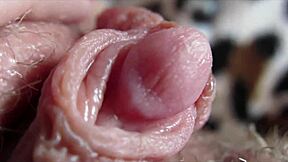 Big Clit Pulses in Extreme Closeup Orgasm