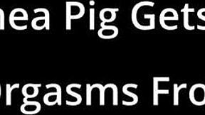 human guinea pig channy crossfire gets forced hitachi orgasms from strict nurse