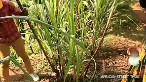 I witnessed an insane outdoor public fuck with a cheating village woman