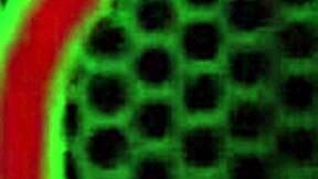 Vicky Vette hace deepthroat a polla.