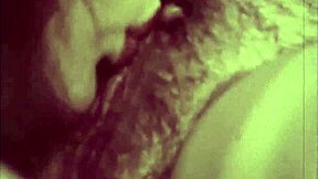 Vau! Dark Lantern Entertainment paljastaa shokeeraavat imettävät lesbo-salaisuudet retro-perhetarinassa!