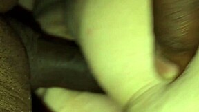 Ditangkap dengan kote hitam monster besar