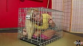 סקוט רודס שולט בכוח מקסין אקס למצוץ את הזין שלו עם פלאג בתחת