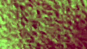 윈터 제이드가 깊은 크림파이 위해 타