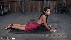 Erkunde die intensive Welt von Hardcore Sadomasochismus-Inhalten.