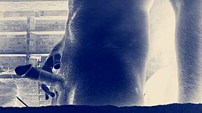 Grote indiaas lul strekt kutjes en konten in hardcore actie met monster formaat