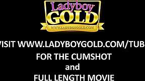 Шейбой Бом, искаш ли да видиш как си играя с играчката?