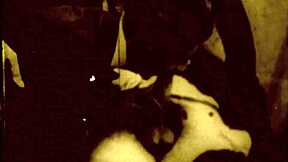 Dark Lantern Entertainment Deelt Vintage Swingers Erotische Bekentenissen