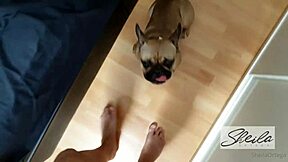 شيلا أورتيغا تأخذ زبين كبيرين في تجميع سكس خشن