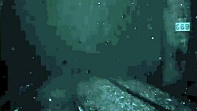 Une illustration vintage de cartoon anime érotique.