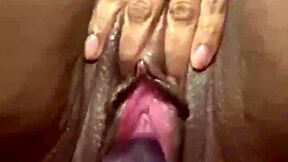 Hei, sett noen gang en pumpet fitte-leketøy-sesjon som denne solo vibespillingen?